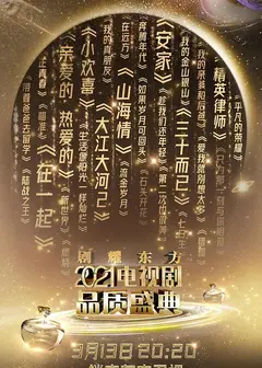 2021电视剧品质盛典