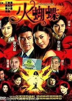 火蝴蝶2008