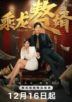乘龙赘婿
