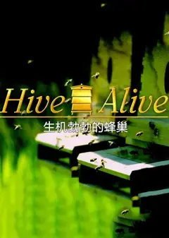 生机勃勃的蜂巢