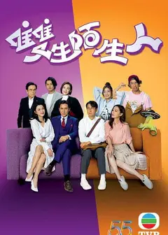 双生陌生人（国)