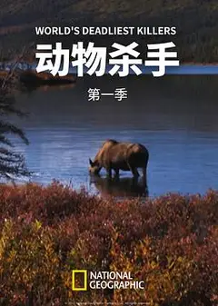 动物杀手第一季