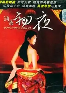 初夜洞房档案