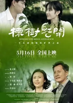 楝树花开