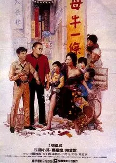 母牛一条