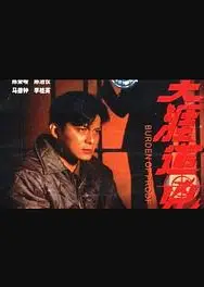 天涯追凶国语版