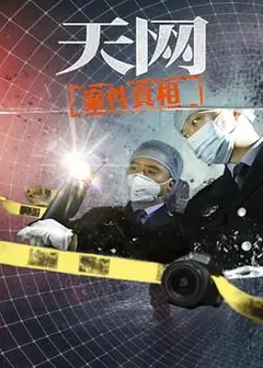 天网：案件真相