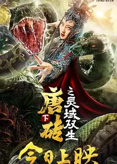 唐砖下之灵域双生