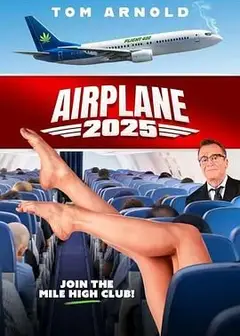 飞机2025