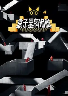 盒子里有猫腻