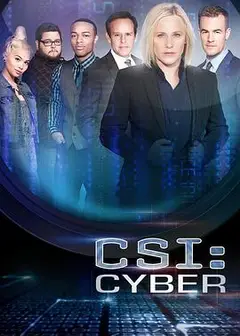 网络犯罪调查第二季