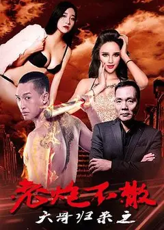 大哥归来之老炮不散