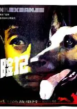 狼犬历险记