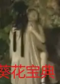 葵花宝典