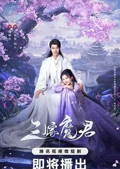 三嫁魔君