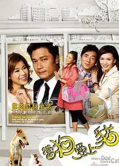 当狗爱上猫粤语