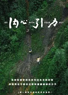 内心引力