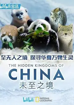未至之境