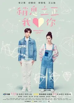 稍息立正我爱你