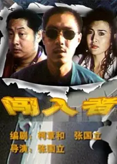 闯入者（1993）