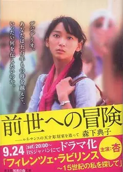 佛罗伦萨迷宫