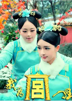 我为宫狂