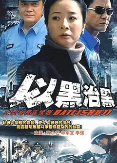 县委书记
