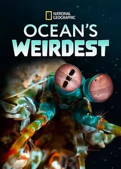 海洋异物志