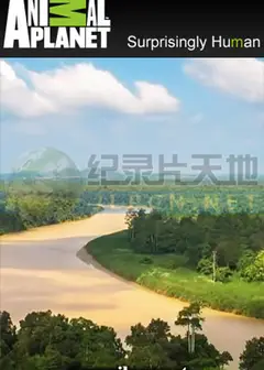 东方亚马逊