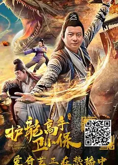 护龙高手卫小保