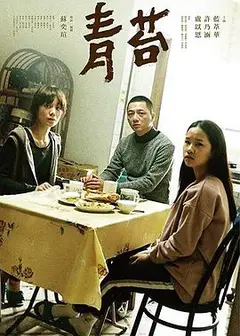 青苔2018