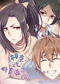 相亲式修真道侣