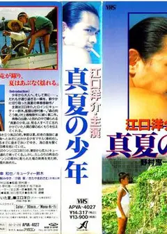 真夏的少年