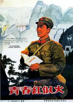 青春红似火