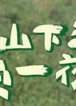 上山下海过一夜