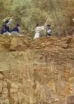 杀戮江湖粤语