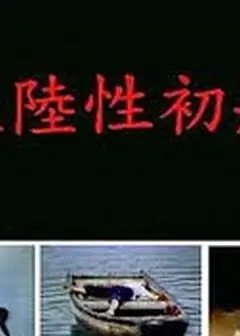 大陆性初航