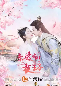 亲爱的夜王子