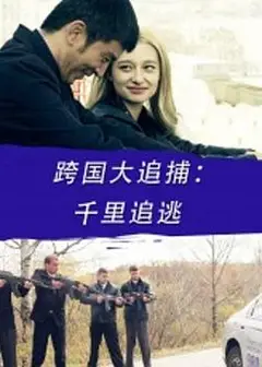 跨国大追捕：千里追逃
