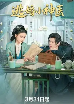 逃婚小神医