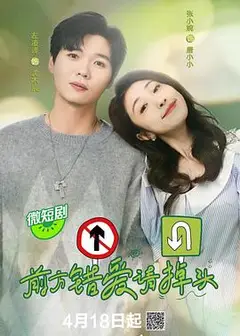 前方错爱请掉头