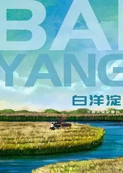白洋淀