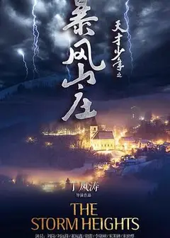 天才少年之暴风山庄