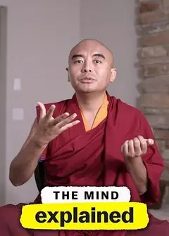 头脑解密第二季