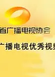 湖南省广播电视优秀视频（2013）