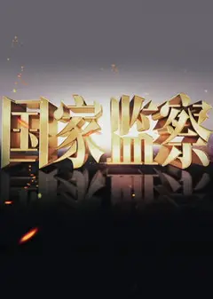 国家监察
