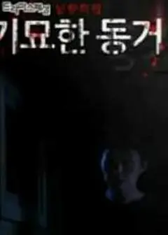 奇妙的同居