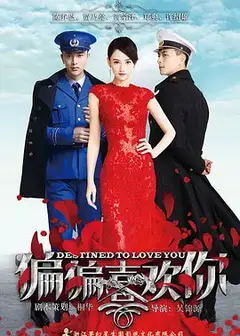 偏偏喜欢你[DVD版]