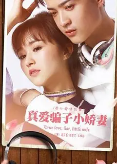 真爱骗子小娇妻
