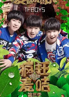 疯狂的麦咭第三季